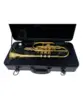 CORNET PRINCE SIB LAQUEADO COR-61