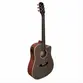 VIOLAO GIANNINI GDC-1 CEQ CTJ EL/AC DREADNOUGHT SATIN JAVA
