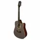 VIOLAO GIANNINI GDC-1 CEQ CTJ EL/AC DREADNOUGHT SATIN JAVA