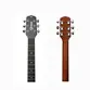 VIOLAO GIANNINI GD-1 EQ CTJ DREADNOUGHT ELETROACUSTICO SATIN JAVA
