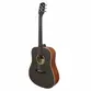 VIOLAO GIANNINI GD-1 EQ CTJ DREADNOUGHT ELETROACUSTICO SATIN JAVA