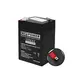 BATERIA SELADA CSP POWER VRLA 6-4.5 - 6V/4.5AH