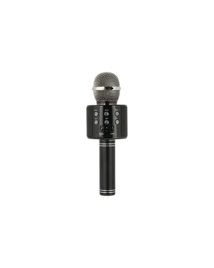 MICROFONE SEM CABO WS-858