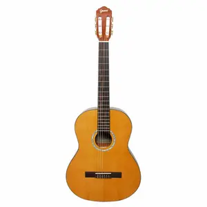 VIOLAO GIANNINI N-17 N ACUSTICO NAILON PLUS BRILHANTE NATURAL