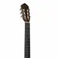 VIOLAO GIANNINI GNY PLUS CEQ NG PLUS NYLON GRAND AUDITORIUM CUTAWAY NATURAL