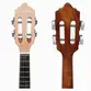 CAVACO GIANNINI CS-34 FMG PLUS ACUSTICO FLAMED MAPLE BRILHANTE C/ BAG