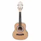 CAVACO GIANNINI CS-34 FMG PLUS ACUSTICO FLAMED MAPLE BRILHANTE C/ BAG