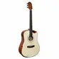 VIOLAO GIANNINI GDH CEQ N ACO DREADNOUGHT HALF CT EL/AC NATURAL C/ BAG