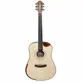 VIOLAO GIANNINI GDH CEQ N ACO DREADNOUGHT HALF CT EL/AC NATURAL C/ BAG