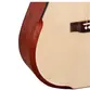 VIOLAO GIANNINI GDH CEQ N ACO DREADNOUGHT HALF CT EL/AC NATURAL C/ BAG