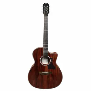 VIOLAO GIANNINI GAC PLUS CEQ KOA PLUS ACO GRAND AUDITORIUM CUTAWAY KOA