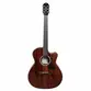 VIOLAO GIANNINI GAC PLUS CEQ KOA PLUS ACO GRAND AUDITORIUM CUTAWAY KOA