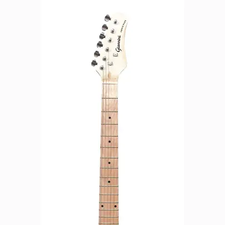 91777_guitarra-giannini-gae02-
