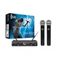 KIT MICROFONE SEM FIO DYLAN DW602 / CARREGADOR DE PILHA AC AA C/4 PILHAS