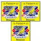 KIT 3  ENCORDOAMENTOS GIANNINI GUITARRA GESGT10 CANARIO