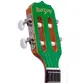 BANJO ROZINI  RJ11.AT.VD COLOR ATIVO VERDE EQ GC-2