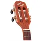 CAVACO ROZINI RC13.AT.F.F SIGNATURE FOGACA ATV. FOSCO EQ GC-2
