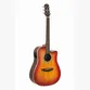 VIOLAO STRINBERG DIAMOND DD5SC CB FOLK 1