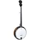 BANJO STRINBERG WB50