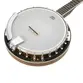 BANJO STRINBERG WB50