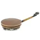 BANJO STRINBERG WB50