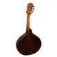 BANDOLIM GIANNINI BS1 IMBU EQ IMBUIA ELETRO ACUSTICO NS