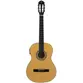 VIOLAO TAGIMA CLASSIC EQ NYLON T/SPRUCE B/S SAPELE SANTIAGO NTABS