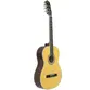 VIOLAO TAGIMA CLASSIC EQ NYLON T/SPRUCE B/S SAPELE SANTIAGO NTABS