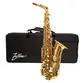 SAXOFONE ALTO ZELLMER ZAS 500L AFINACAO EM EB MIB